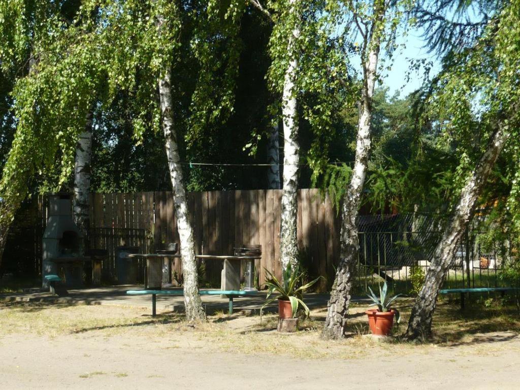 Uns Luett Wohnung Nossentiner Huette ภายนอก รูปภาพ